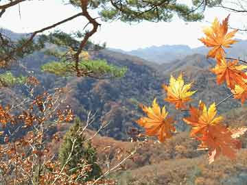 锦绣河山遍地画，幸福人家满园诗指代表什么生肖，构建解答解释落实_jpx89.64.86